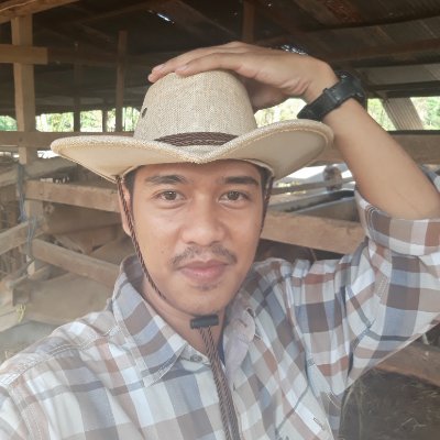 Fake Cowboy