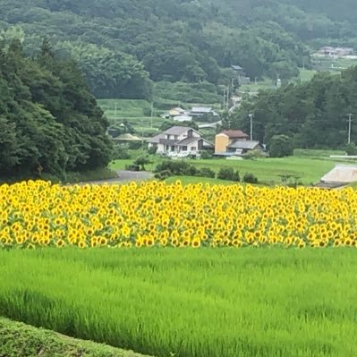 XlVHhBzyQU84DmV's profile picture. 病院のソーシャルワーカーもうすぐ2年目。 資格取得に向け勉強中。今は無理目な行政書士取得目指してます。同じく勉強中の方仲良くして下さい🥹　取得資格:社会福祉士、精神保健福祉士、FP２級