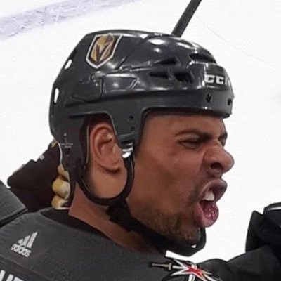 BirdsOnBirds's profile picture. 