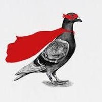 Ludwig Von Ray Von(@TheSuperpigeon) 's Twitter Profile Photo