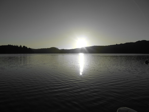 rossthenry's profile picture. I am in search of the answer...