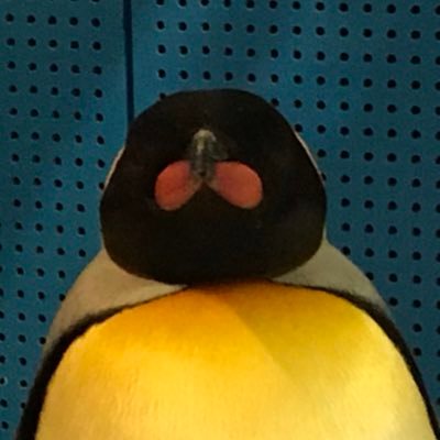 _penguin_club Profile Picture