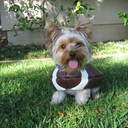 Leslie Hong - @resoree - Twitter