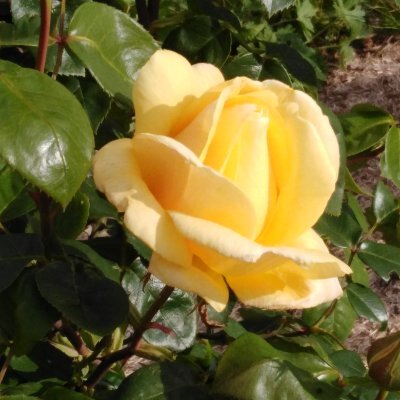 Cerise On Twitter Johnny Hallyday Vivre Pour Le Meilleur Https T Co 5x0xd2ftu5 Via Youtube