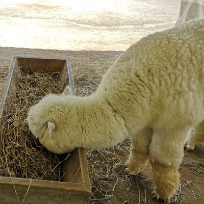 KULS修了→74期修習→大阪B就職
C2B・げんぽーOB/趣味雑多/映画好き/権利の上に眠る者