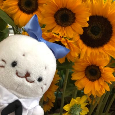 しらたま☃︎さんのプロフィール画像