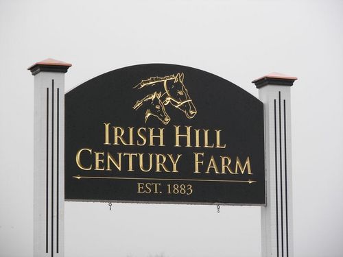 Irish Hill Century Farm is a full care thoroughbred boarding facility, located 5 minutes from Historic Saratoga Race Course on 300 acres of pristine farm land