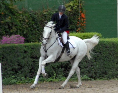 montsem01's profile picture. 