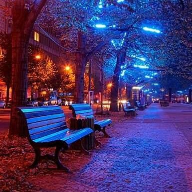 TKalimanshi's profile picture. 