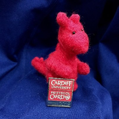 I’m an adventurous little dragon hatched in Cardiff and ready to see the world. Follow me to see which @cuconservation alum I visit next! Made by @Cheshlie.