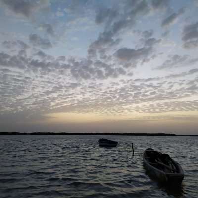 diego_mateu's profile picture. 