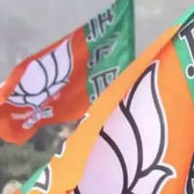 POLITICS AND ECONOMICS VIEWS PERSONAL @bjp4india