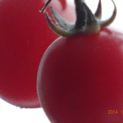 FreedomHongkon2's profile picture. 追逐自由，從上海到香港。香港是我第二故鄉。我愛上海，但更愛自由！！！謝謝，香港人！香港人，加油！榮耀定歸香港！