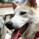 Johnny Arguello - @ArwayoJ - Twitter