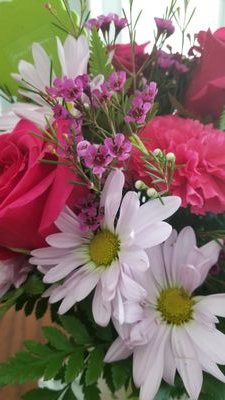 debmans3's profile picture. 