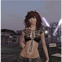 Stray Kitty - @KittyCatMason - Twitter