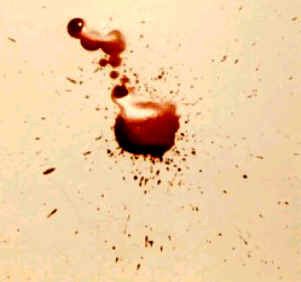 NightlyTerror's profile picture. Bringing you nightly flash fiction terrors.