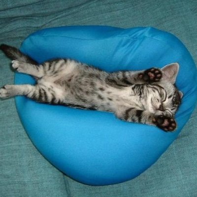 猫が大好きです😸
I like cats.I am Japanese.
猫の「たいたい」が 2021年9月3日お空に旅立ちました
17年と158日 よく頑張ったね
今までありがとう
ずーっと一緒だよ
だーい好き
無断転載・無断使用はご遠慮ください
⇩YouTube見てね✨特に「二度寝」