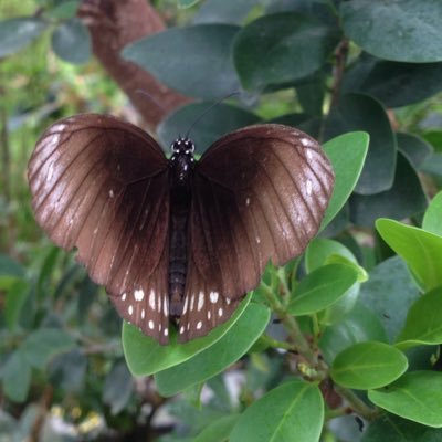 mocuprimnosti's profile picture. •Závislá na příbězích 
•Každý dobrý skutek musí být po zásluze potrestán
•Natálie Helena Justýna Princová     
@ZlatickoMoje