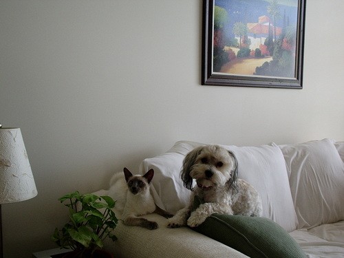 sharonkramer8's profile picture. 