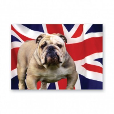 barneyboy4's profile picture. 