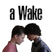 A teenage boy (Noah Urrea) desperately seeks to connect with his deceased twin brother on the day of his wake when an unexpected stranger shows up.