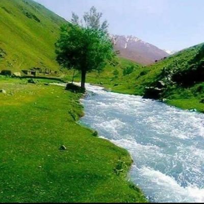 طوطی نقل وشکربودیم ما/مرغ مرگ اندیش گشتیم ازشما