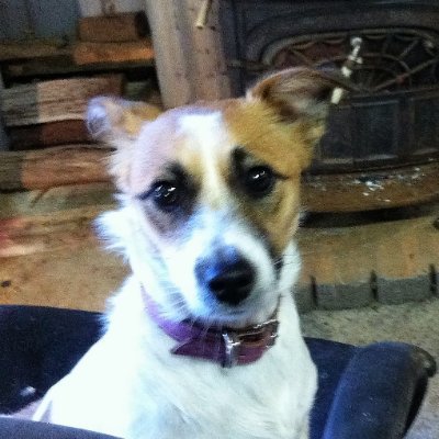 Trigger351's profile picture. 