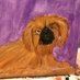 Purple Peke (@_purplepeke) Twitter profile photo Purple Peke (@_purplepeke) Twitter profile photo