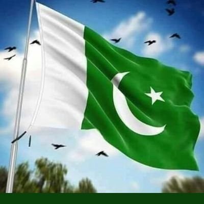 NazarAwan384's profile picture. A Passionate, Patriotic Pakistani 🇵🇰 !! I bleed green.
