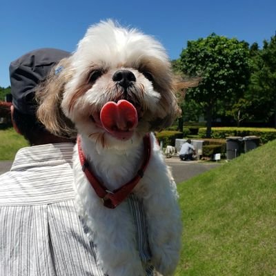 black_tapioca_K's profile picture. 