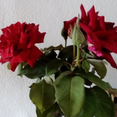 maty222222's profile picture. 