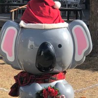 ぺすん (@spen0417) 's Twitter Profile