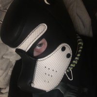 peanut (@puppy_peanut_) 's Twitter Profile