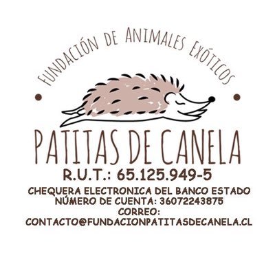 Nos dedicamos a Rescatar, Rehabilitar y entrega en Adopción a Animales Exóticos que han sido maltratados y/o abandonados.