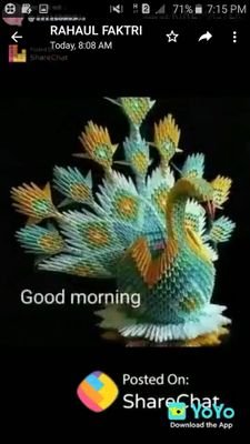 PoojaRa12998906's profile picture. student