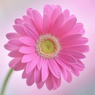 laarni_meniong's profile picture. 