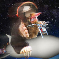 RocketMole's profile picture. 