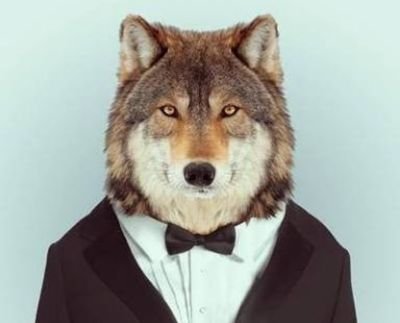 Elyorchp39's profile picture. Una persona común y corriente como todos ustedes... Al final de cuenta todos somos seres humanos!
