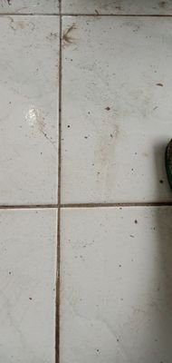 Incos19's profile picture. 😘😘😘😘😘