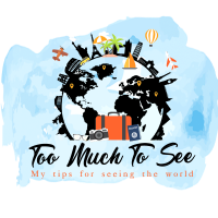 Too Much To See (@toomuchtosee1) 's Twitter Profile