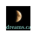 DREAMS Foundation (@dreamsfeed) Twitter profile photo DREAMS Foundation (@dreamsfeed) Twitter profile photo