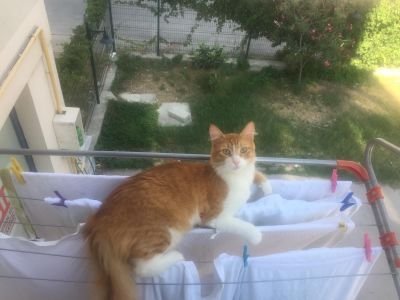 Gamze0593's profile picture. 