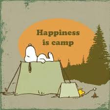 Peak 2020 Subcamps. All action Adventure, Fantasy fun, Comedy capers, scary Sci-Fi, horrible Historical & much much more. Wherever it is, it will be AMAZING!