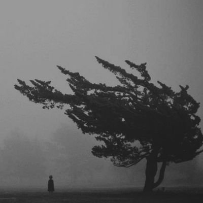 Sadeghhastam's profile picture. the caged bird may sing of freedom but it will still live in prison!