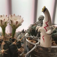 イケガミギー (@ikegamigii) 's Twitter Profile