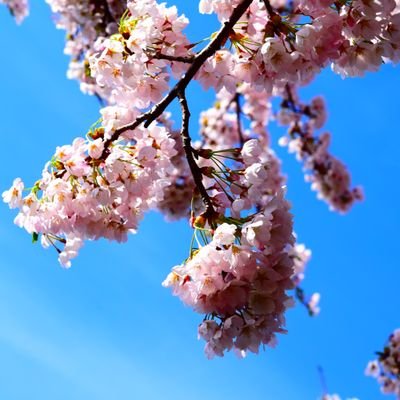 35歳の時卓球復帰しました🏓13年間ブランク有
卓球してる方は気軽にフォローお願いします👌
ペン表裏 得意なのはサービス✨夕凪クラブ所属
