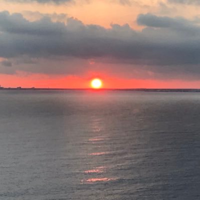 AI_ECG's profile picture. Early uncover 100+ heart diseases at 98.3% accuracy in 5 seconds with CE & FDA approved AI-ECG trained on 47 million patients' data