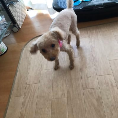 volcomstory's profile picture. 商社(卸営業)→プログラマー目指してます(java.C++)/ゲーム/漫画/ギター