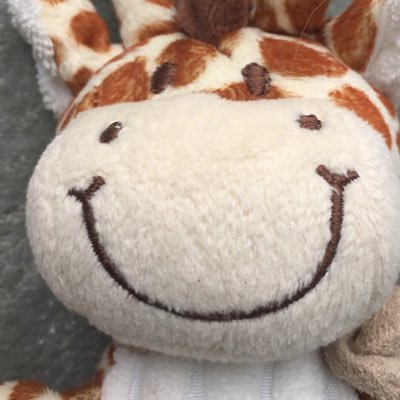 dickyscott's profile picture. 